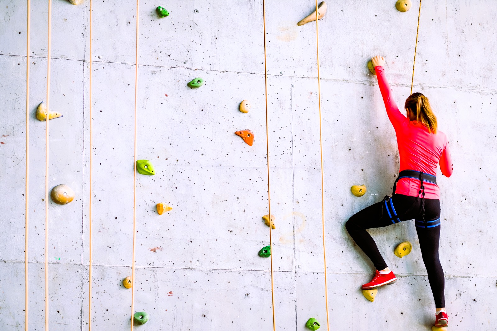 VIP სერვისები - თიმბილდინგის პროგრამა