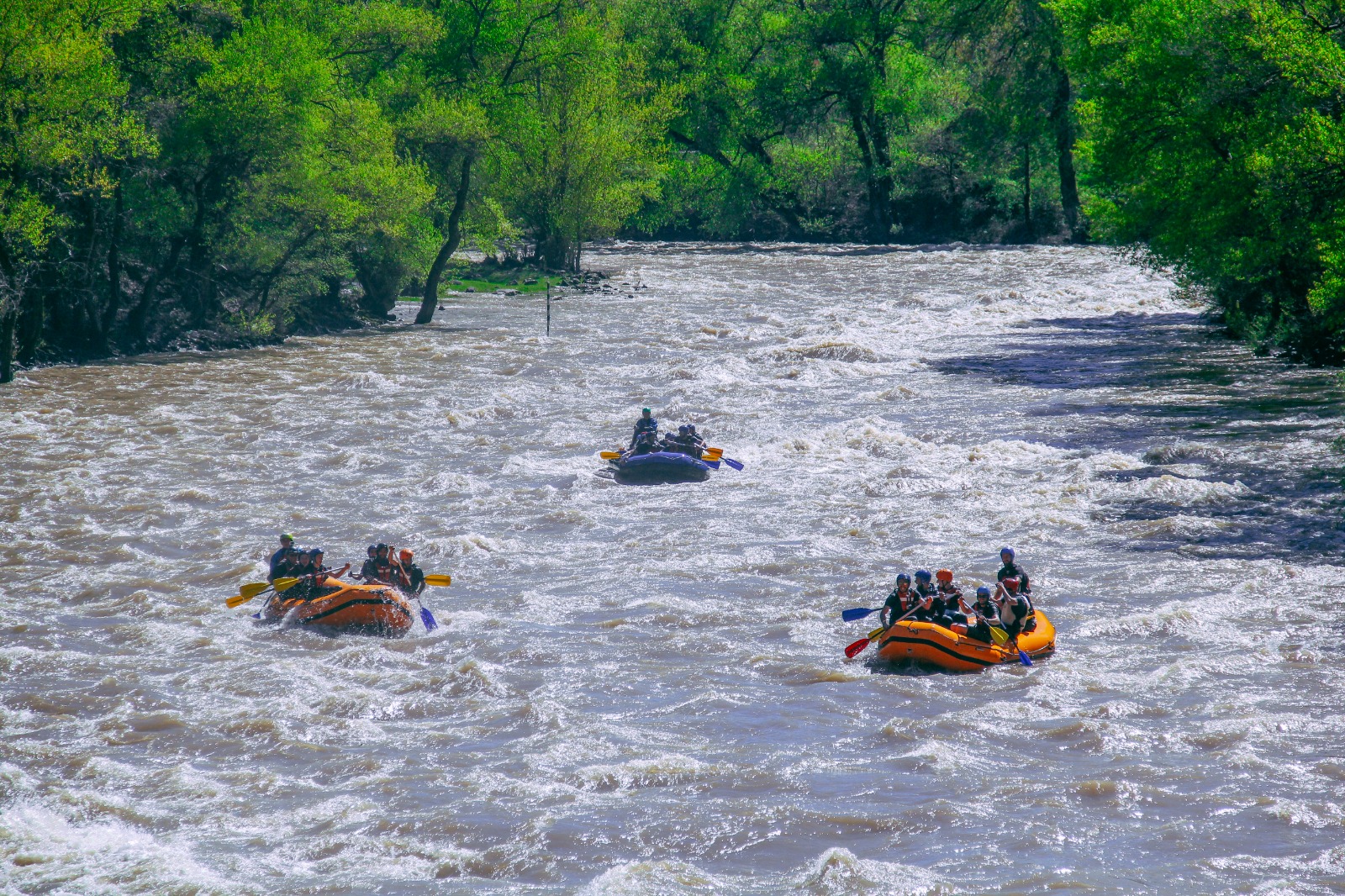 ჯომარდობა ბორჯომში - ფოტო გალერეიდან