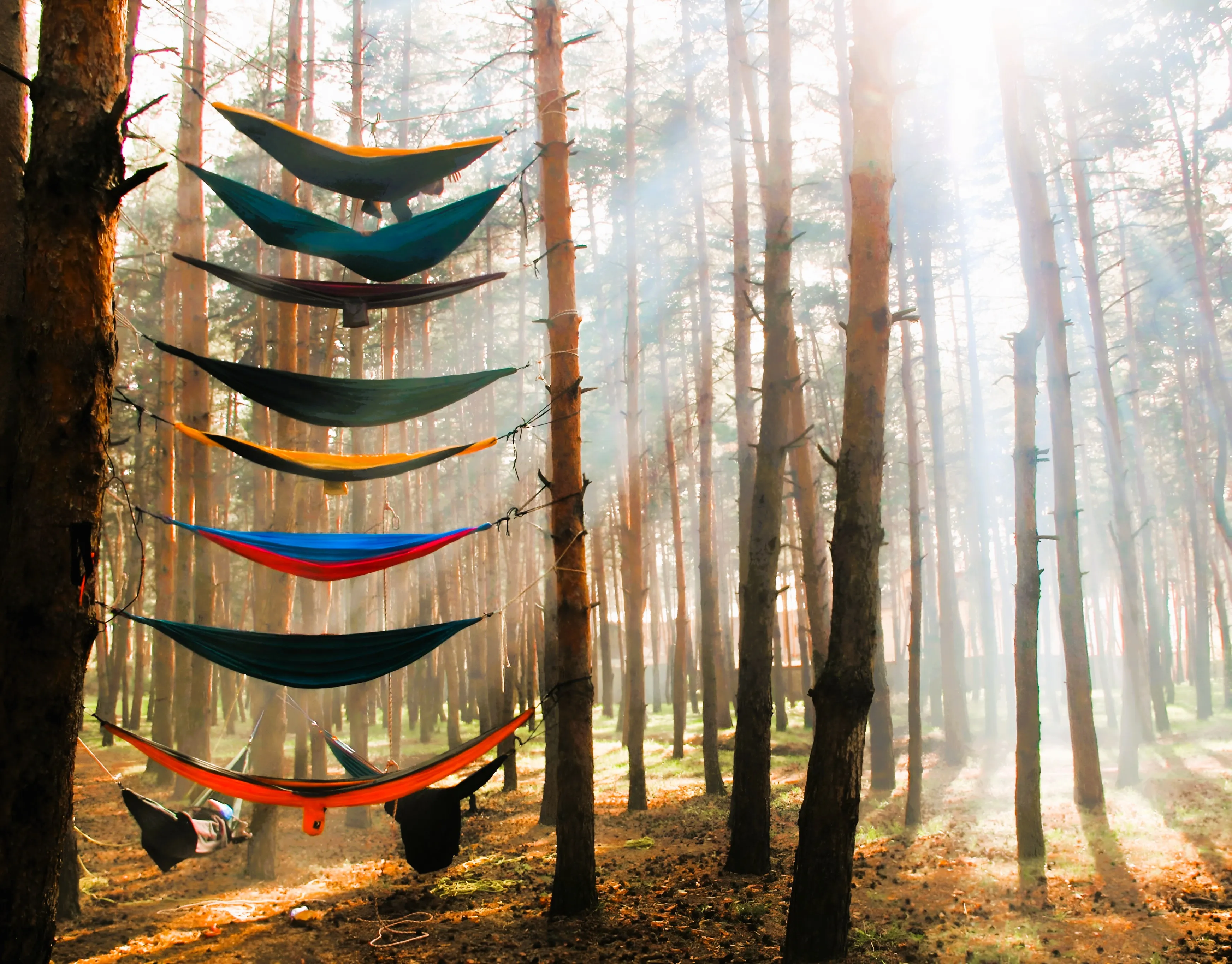 გასვლითი კორპორატიული ტურები - Corporate Outdoor Retreats